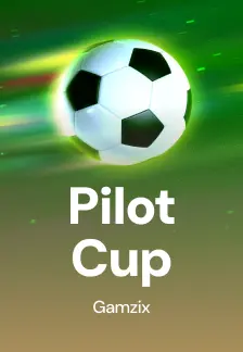 Pilot Cup