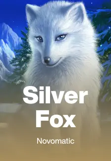 Silver Fox