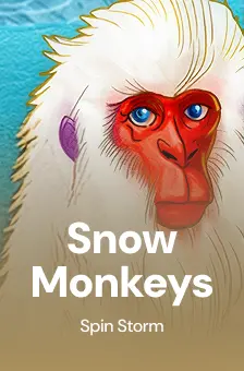 Snow Monkeys